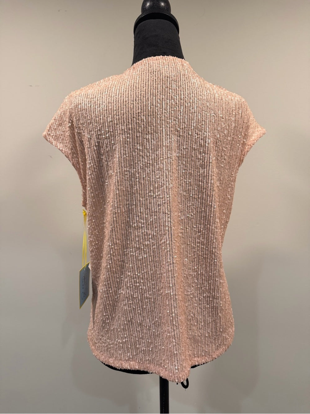 CeCe Blush Pink Sequin V-Neck Cap Sleeve Party Top S NWT GT-0268